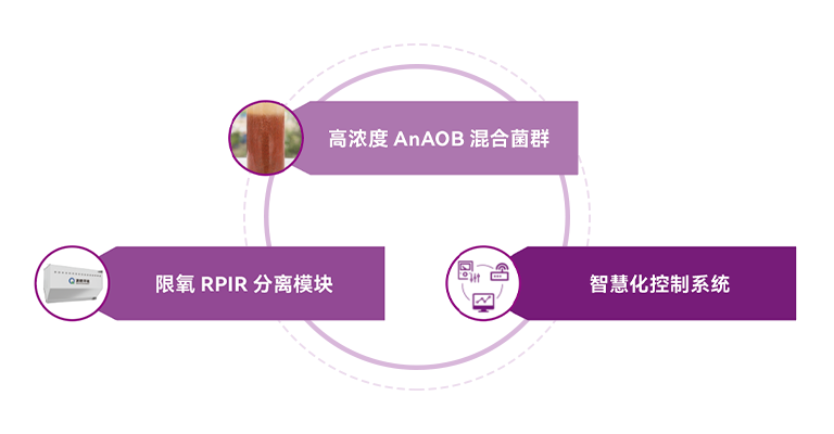 世界杯赛程·2026美加墨中国区现场直播